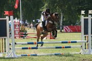 IMG_0008