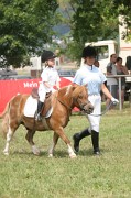 IMG_0010