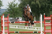 IMG_0004