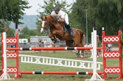 IMG_0012