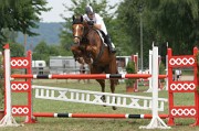 IMG_0019