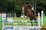 IMG_0037