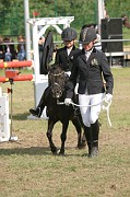 IMG_0022