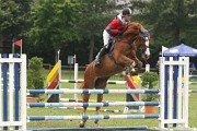 IMG_0006