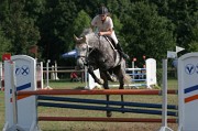 IMG_0049