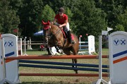 IMG_0053