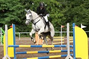 IMG_0046