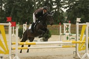 IMG_0008