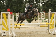 IMG_0016