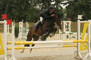 IMG_0018