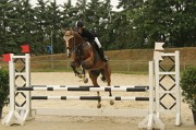 IMG_0021