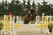 IMG_0026
