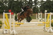 IMG_0061