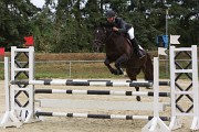 IMG_0037