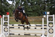 IMG_0047