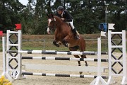 IMG_0003