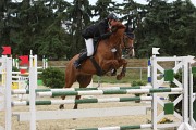 IMG_0029