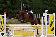 IMG_0041