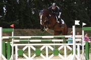 IMG_0061