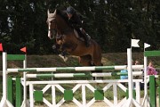 IMG_0063