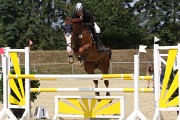 IMG_0049