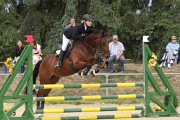 IMG_0005