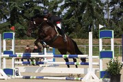 IMG_0043