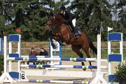 IMG_0045