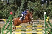 IMG_0067