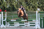 IMG_0016
