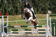 IMG_0040