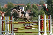 IMG_0031