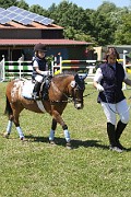 IMG_0019