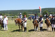 IMG_0035