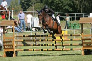 IMG_0003