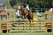 IMG_0012