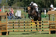 IMG_0045