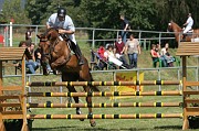 IMG_0051