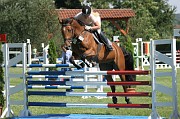 IMG_0060