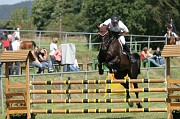 IMG_0081