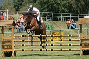 IMG_0084