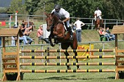 IMG_0095