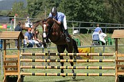 IMG_0044