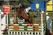 IMG_0012