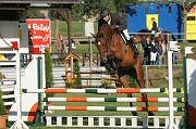IMG_0017