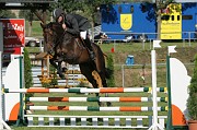 IMG_0004