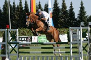 IMG_0020