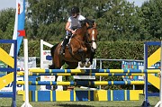 IMG_0006