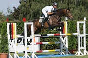 IMG_0050