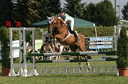 IMG_0012